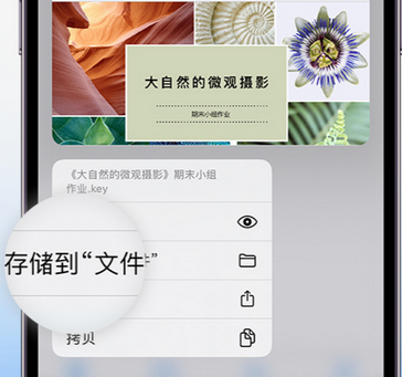 黄冈apple维修中心分享iPhone文件应用中存储和找到下载文件