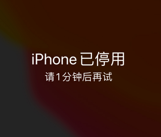 黄冈苹果手机维修分享:iPhone 显示“不可用”或“已停用”怎么办？还能保留数据吗？ 