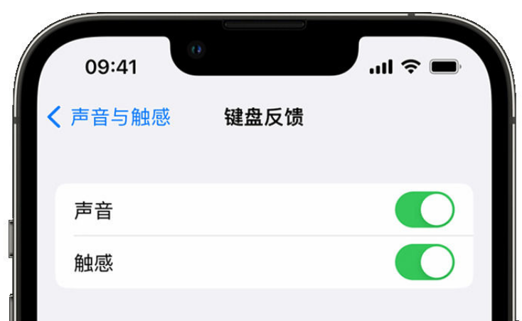 黄冈苹果手机维修分享iPhone 14触感键盘使用方法 