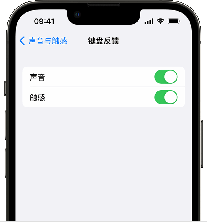 黄冈苹果14维修店分享如何在 iPhone 14 机型中使用触感键盘 