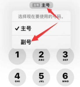 黄冈苹果14维修店分享iPhone 14 Pro Max使用副卡打电话的方法 