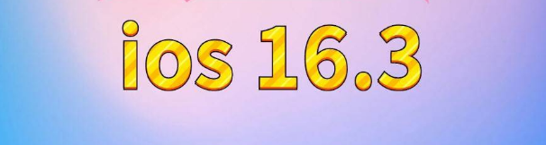 黄冈苹果服务网点分享苹果iOS16.3升级反馈汇总 