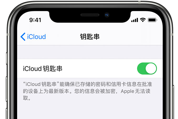 黄冈苹果手机维修分享在 iPhone 上开启 iCloud 钥匙串之后会储存哪些信息 