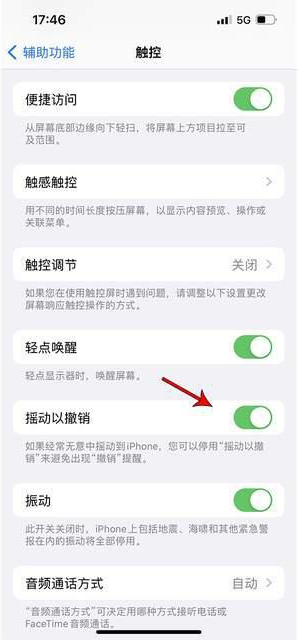 黄冈苹果手机维修分享iPhone手机如何设置摇一摇删除文字 