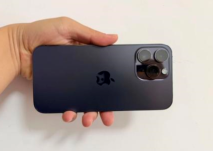黄冈苹果维修点分享iPhone 14 Pro Max黑屏少见故障盘点 